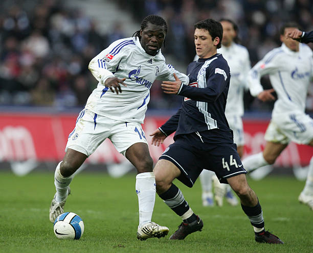 未过早确定 未过早确定