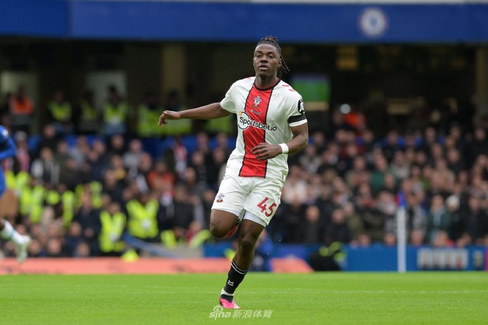 多媒体平台 多媒体平台